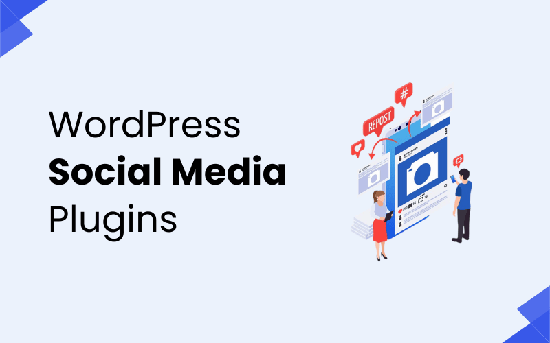 Social Media WordPress Plugins